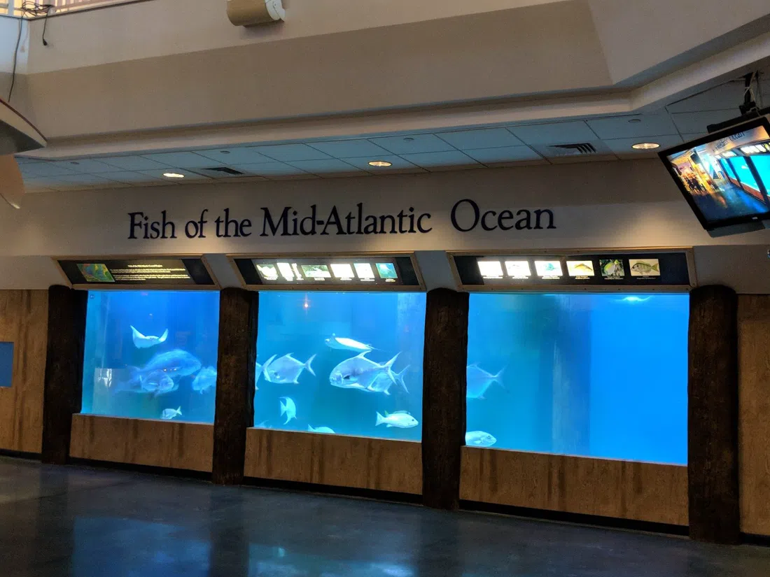Atlantic City Aquarium, Atlantic City