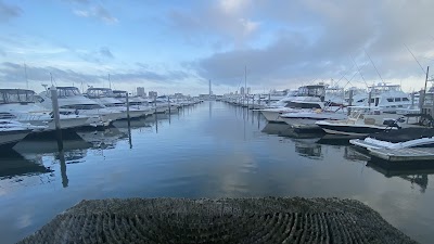 El Distrito de la Marina