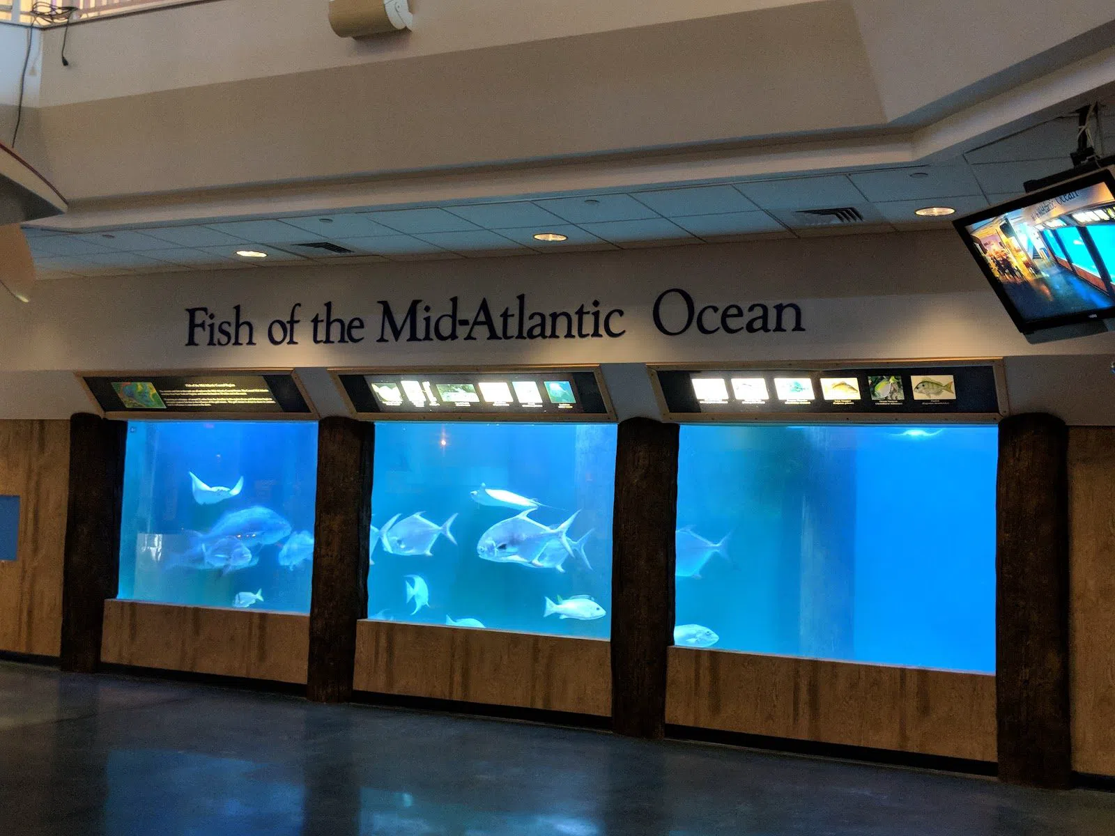 Atlantic City Aquarium at Historic Gardner's Basin, Atlantic City